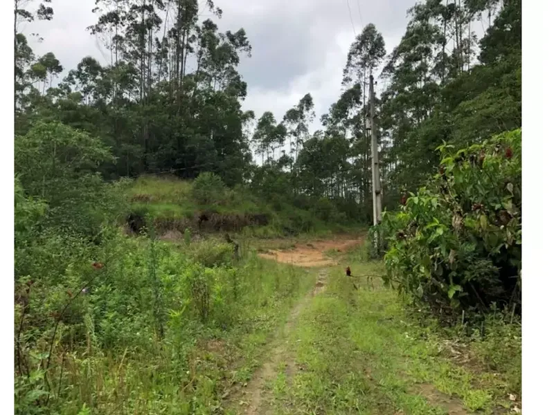 Imóvel rural em leilão