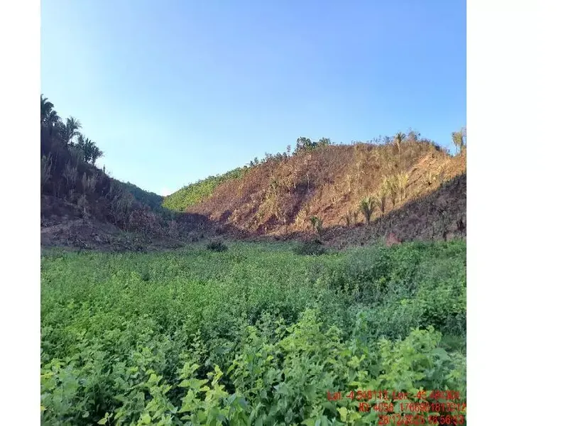 Imóvel rural em leilão