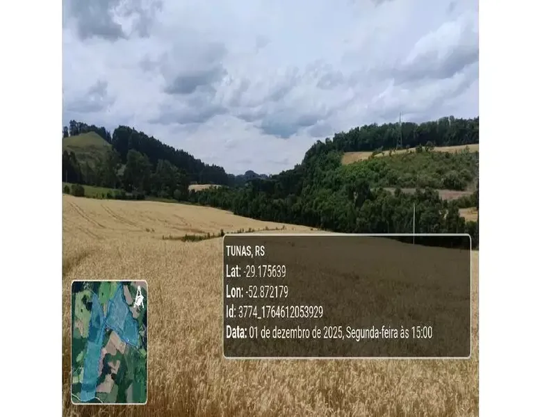 Imóvel rural em leilão