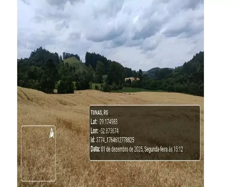 Imóvel rural em leilão