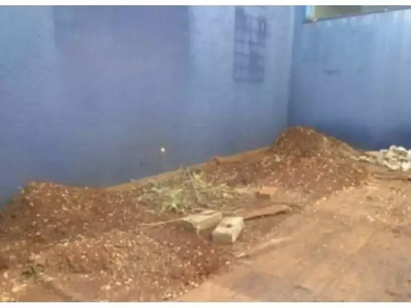 Comercial em leilão