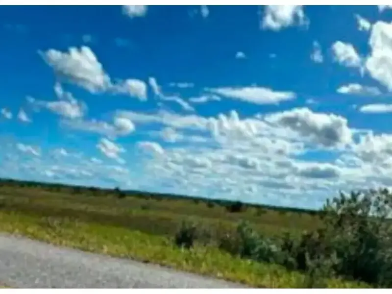 Imóvel rural em leilão