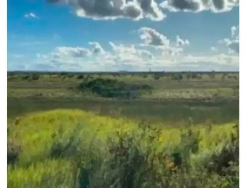 Imóvel rural em leilão