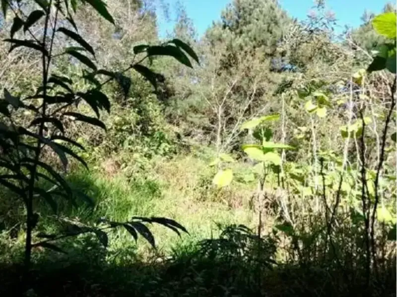 Terreno em Leilão Extrajudicial