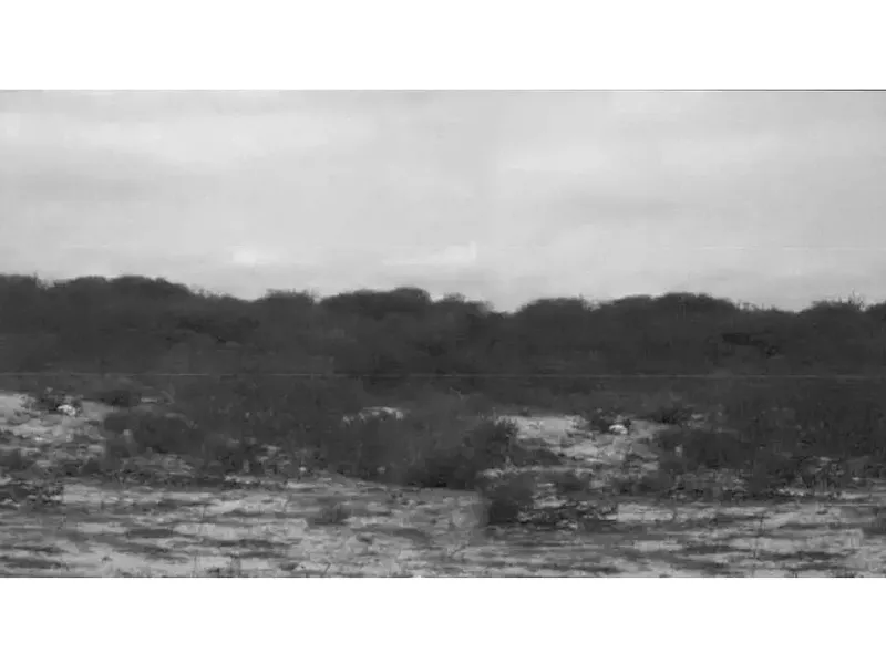 Terreno em Leilão Judicial