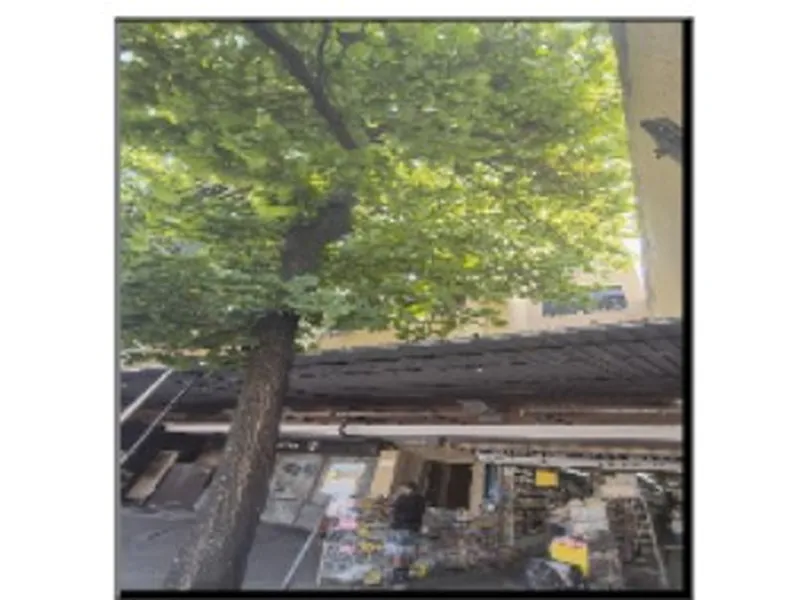 Sala em Leilão Extrajudicial