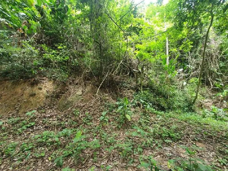 Terreno em Venda Direta