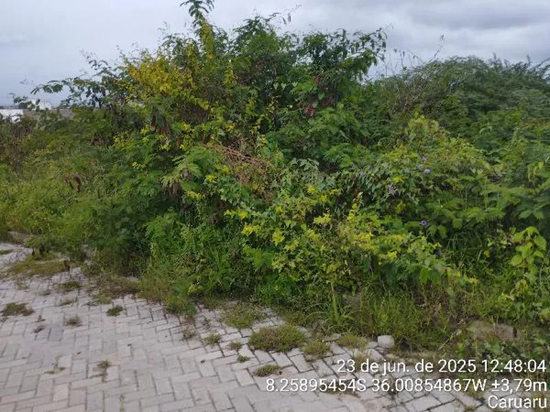 Terreno em Leilão Extrajudicial