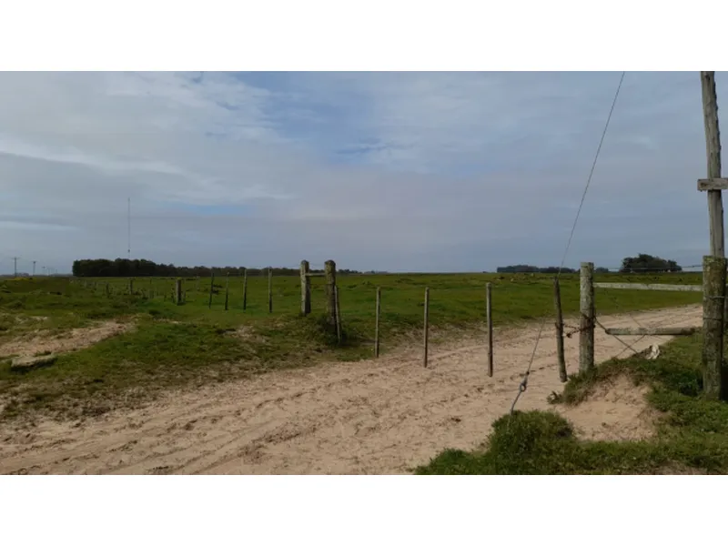 Imóvel rural em Leilão Judicial