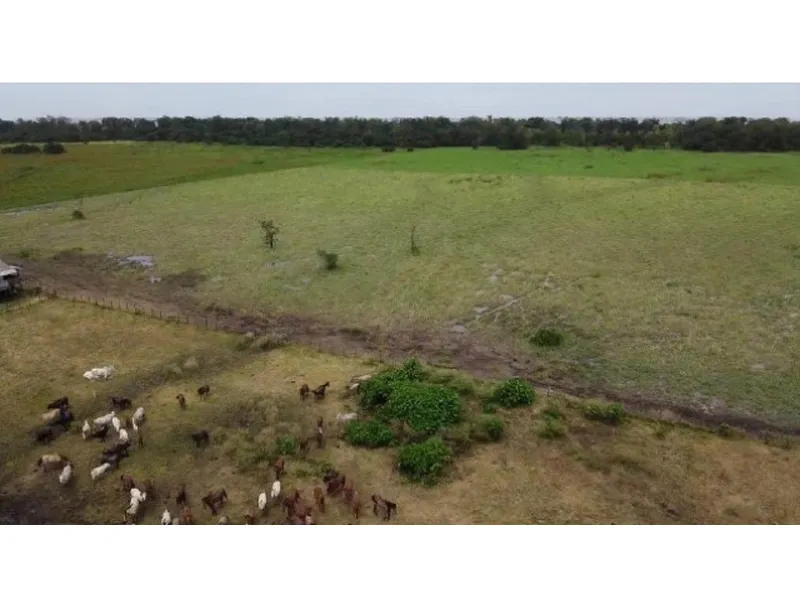 Imóvel rural em Leilão Judicial