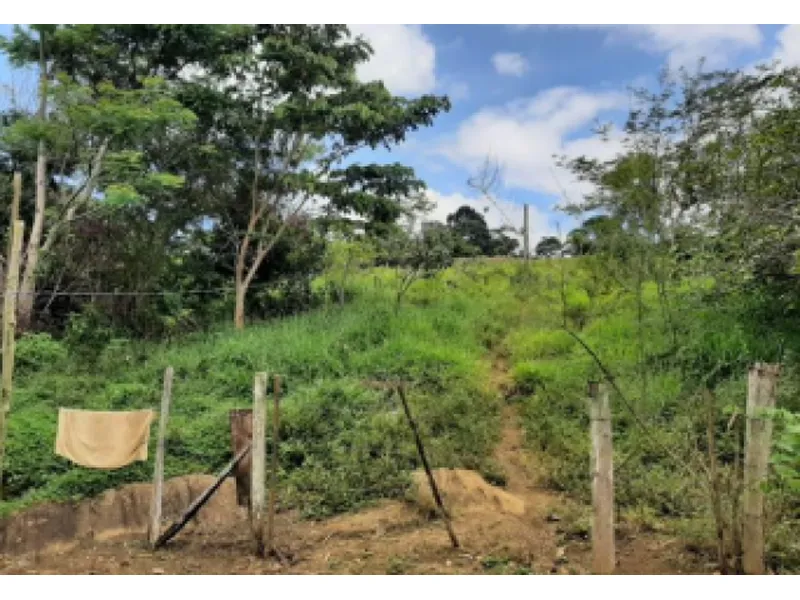 Imóvel rural em leilão