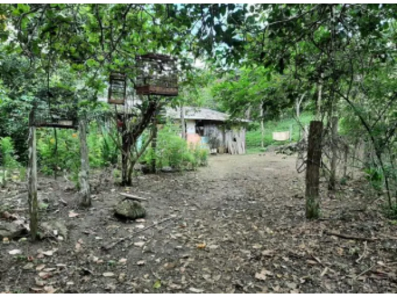 Imóvel rural em leilão