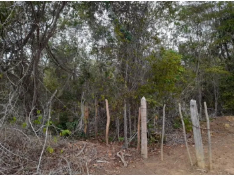 Imóvel rural em leilão