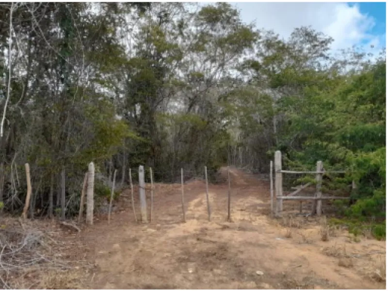 Imóvel rural em Leilão Judicial