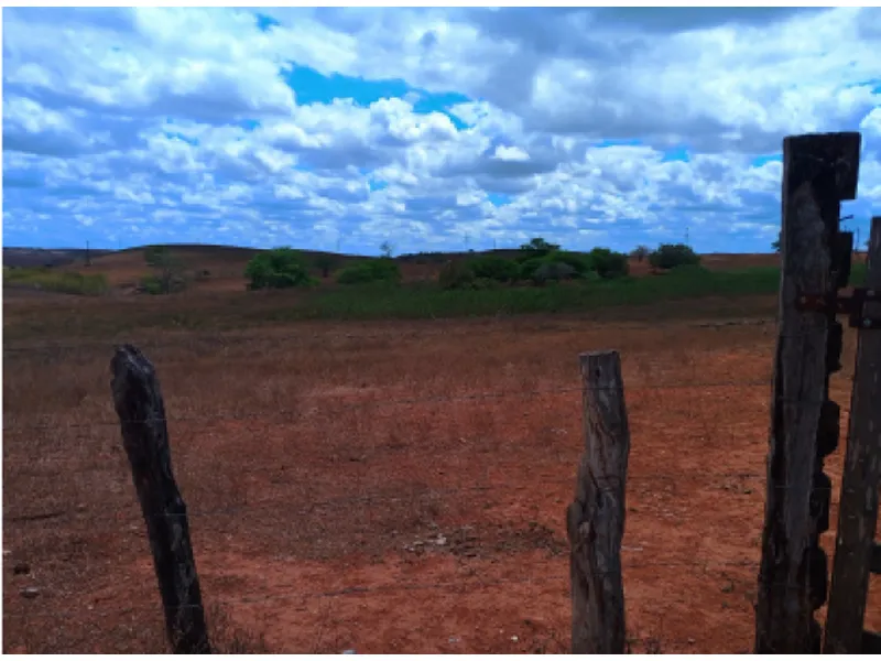 Imóvel rural em leilão