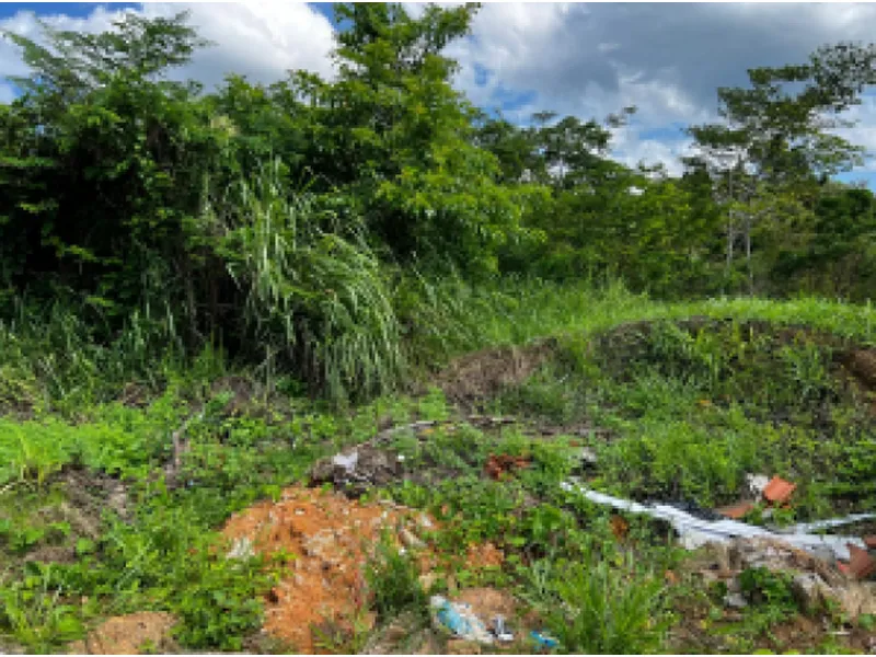 Imóvel rural em leilão