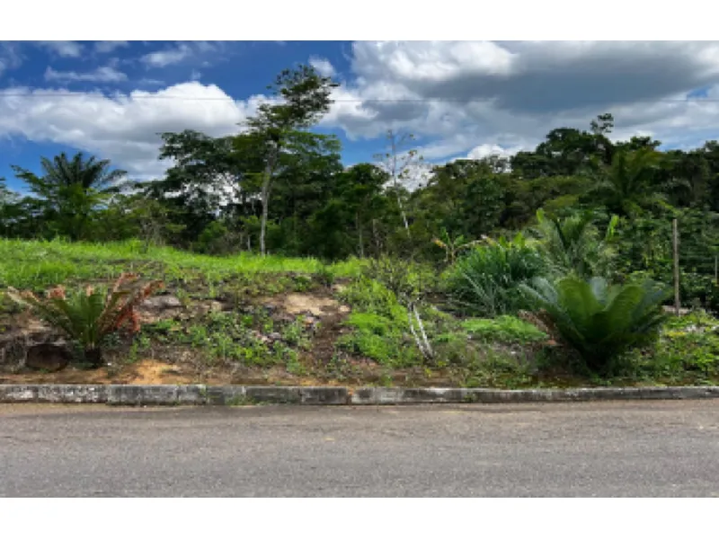 Imóvel rural em Leilão Judicial