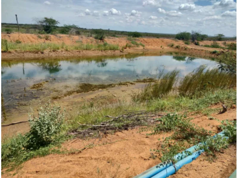 Imóvel rural em Leilão Judicial