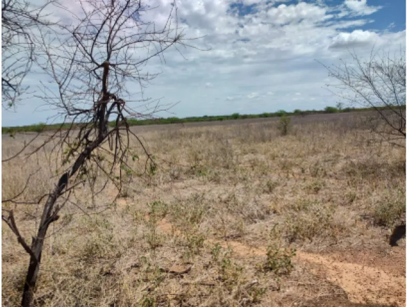 Imóvel rural em leilão