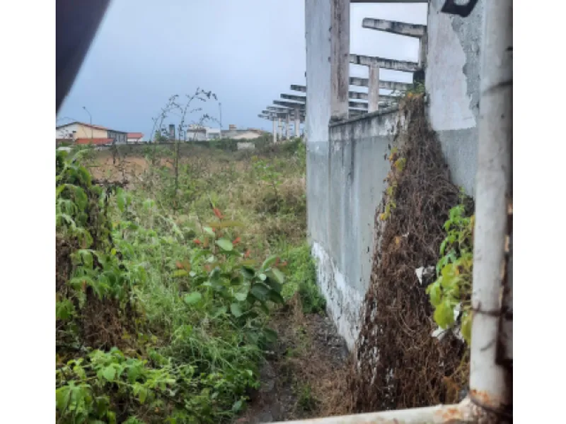 Imóvel rural em Leilão Judicial