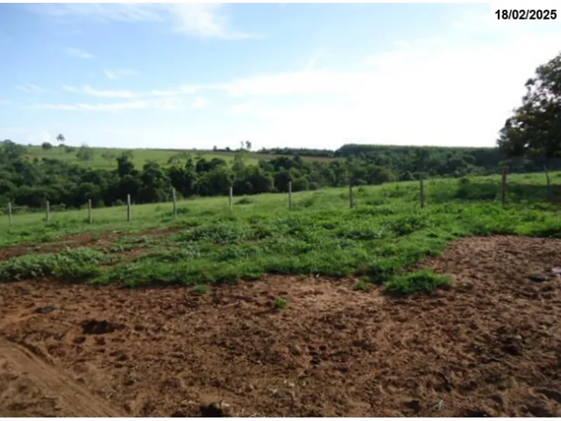 Imóvel rural em Leilão Judicial