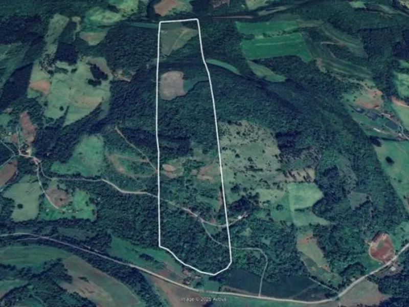 Imóvel rural em Leilão Judicial