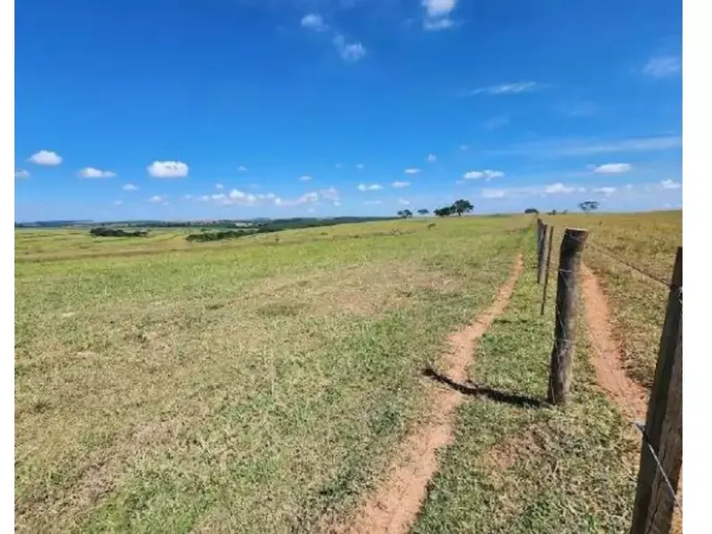 Imóvel rural em Leilão Judicial
