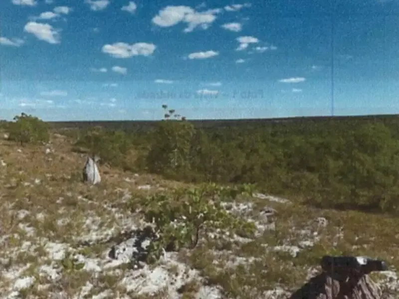 Imóvel rural em Leilão Extrajudicial