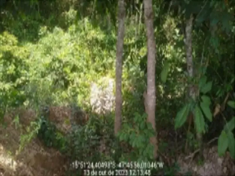 Terreno em Leilão Extrajudicial