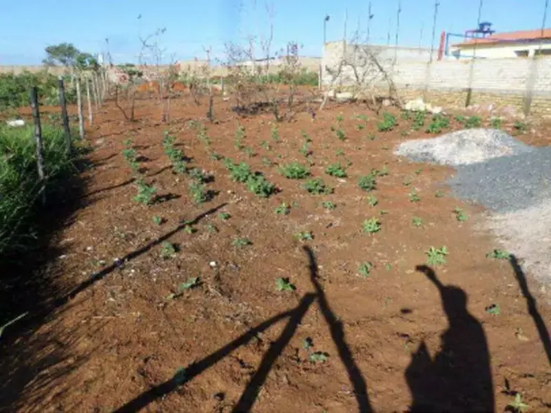 Terreno em Leilão Extrajudicial