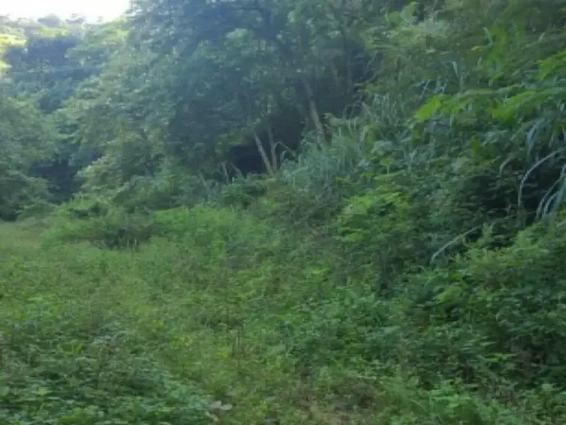 Terreno em Leilão Extrajudicial