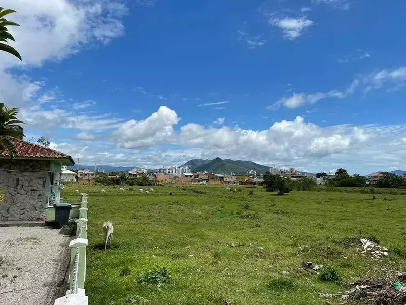 Terreno em leilão