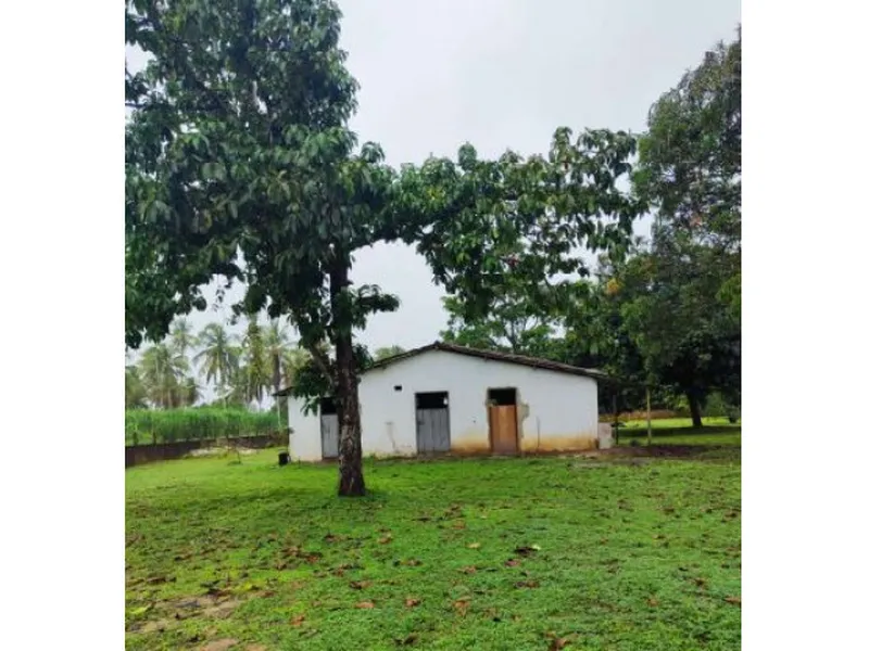 Imóvel rural em leilão