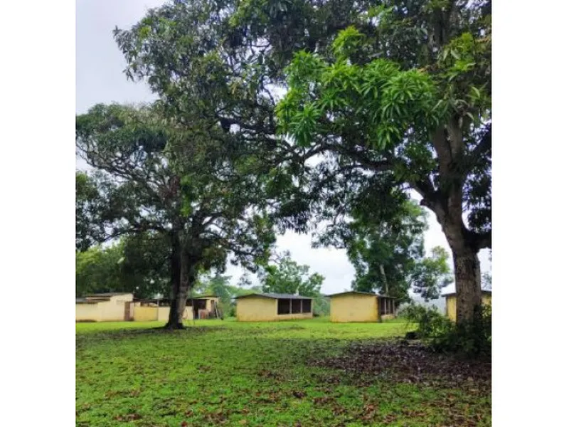 Imóvel rural em leilão