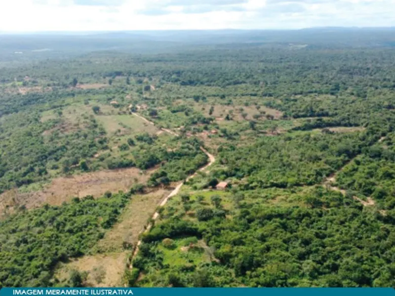 Imóvel rural em Leilão Judicial