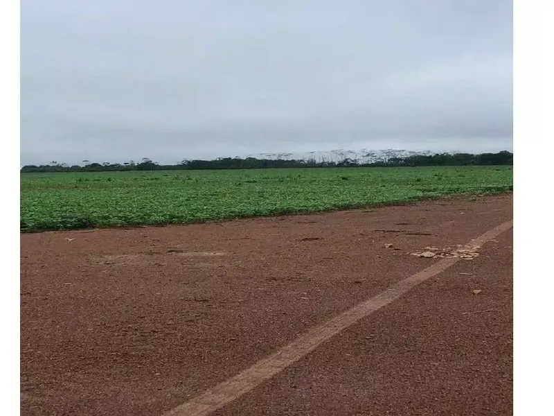 Imóvel rural em leilão