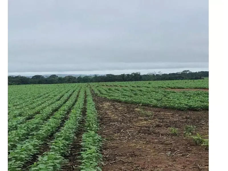 Imóvel rural em leilão