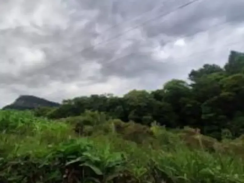 Imóvel rural em leilão
