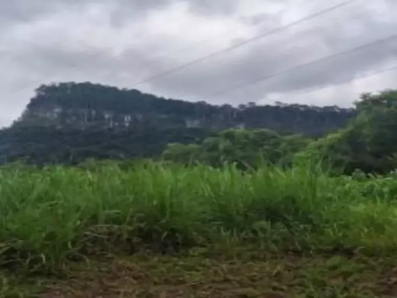 Imóvel rural em leilão