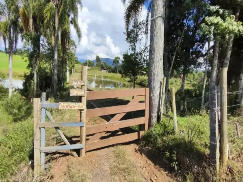 Imóvel rural em leilão