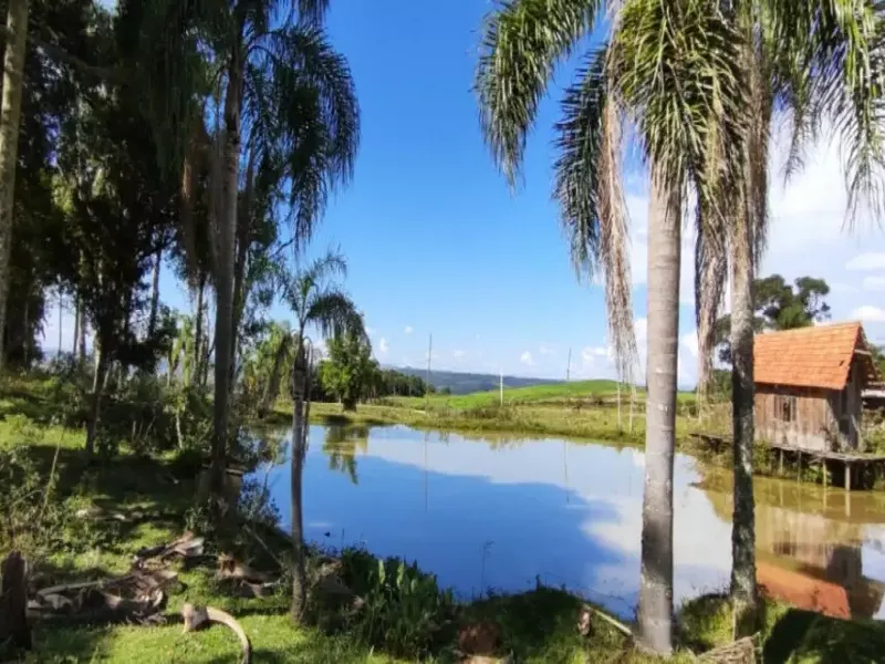 Imóvel rural em leilão