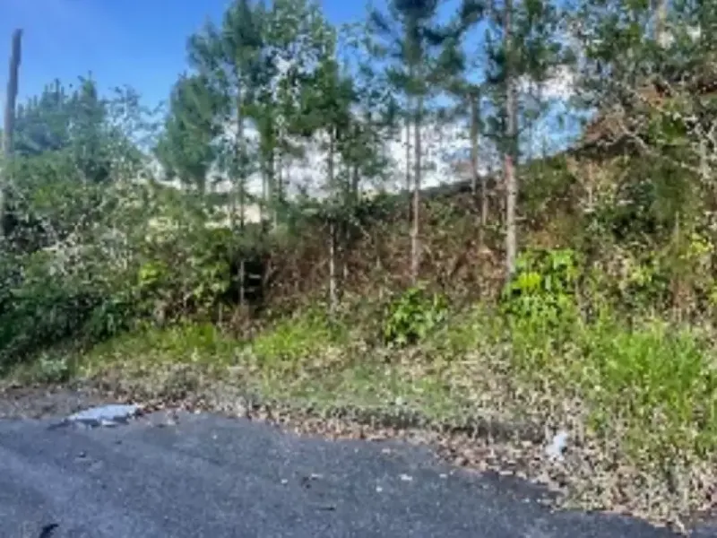 Imóvel rural em leilão