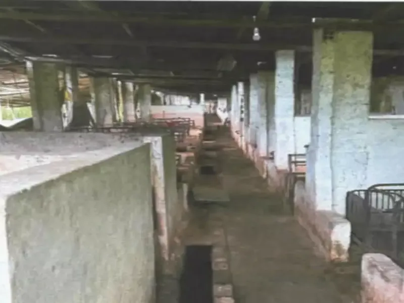 Imóvel rural em leilão