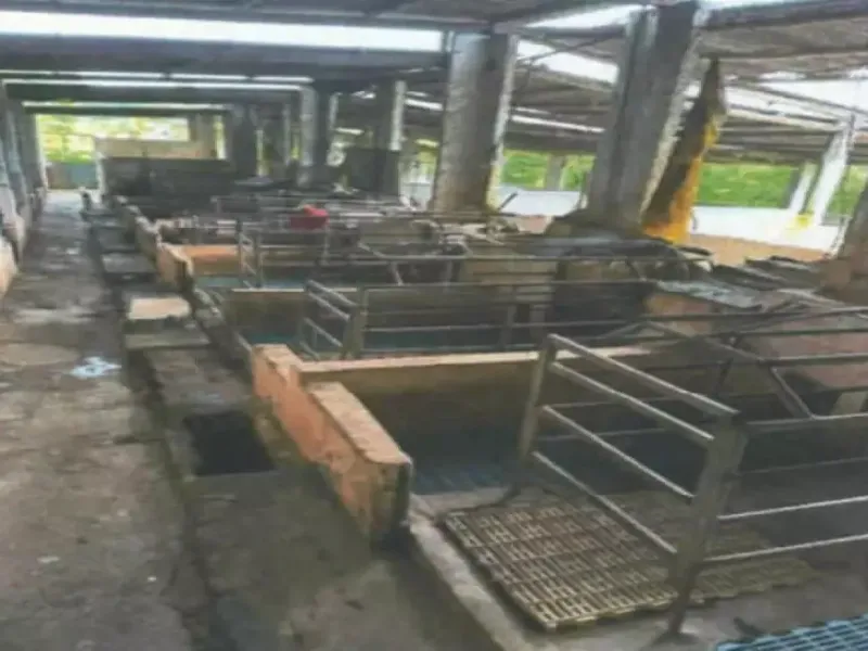 Imóvel rural em leilão