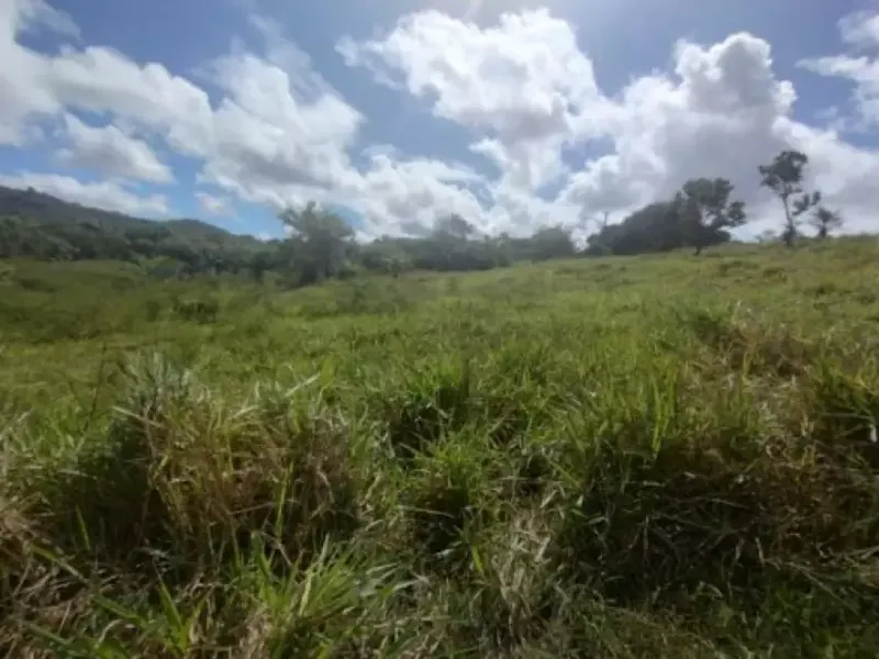 Terreno em Leilão Extrajudicial