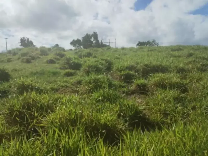 Terreno em Leilão Extrajudicial