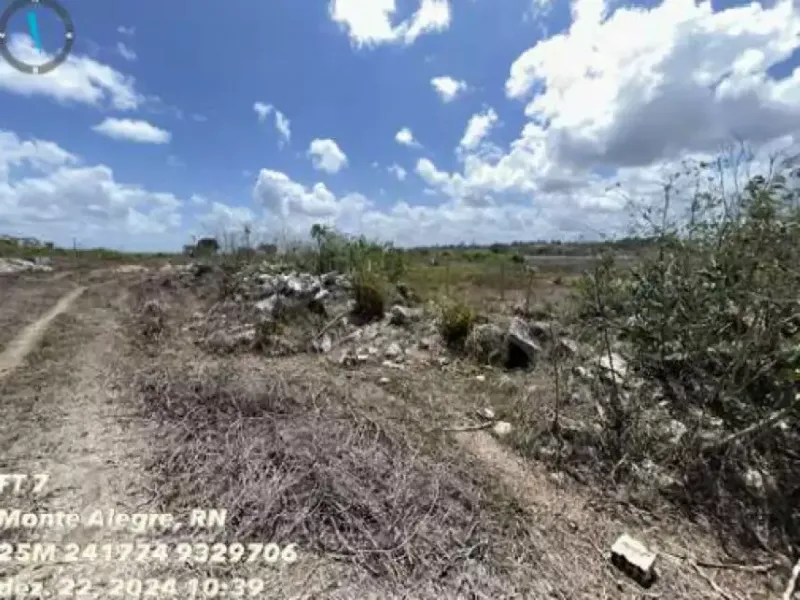 Imóvel rural em leilão