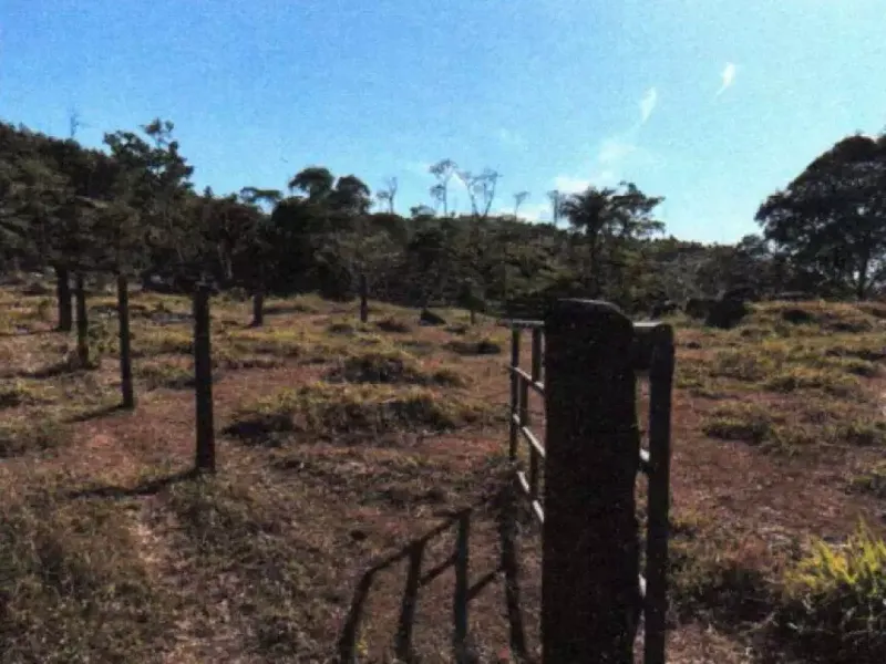Imóvel rural em leilão
