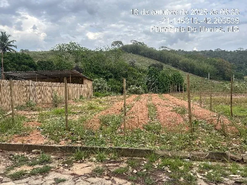 Terreno em Licitação
