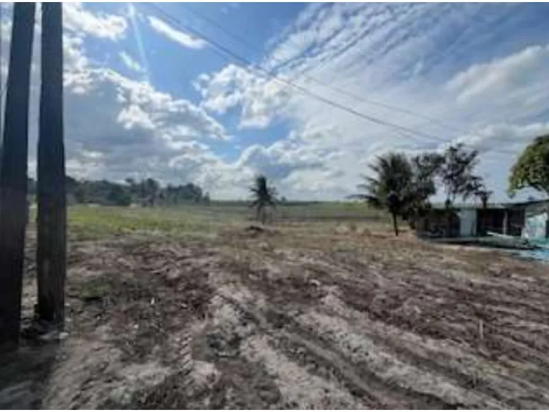 Imóvel rural em Leilão Judicial